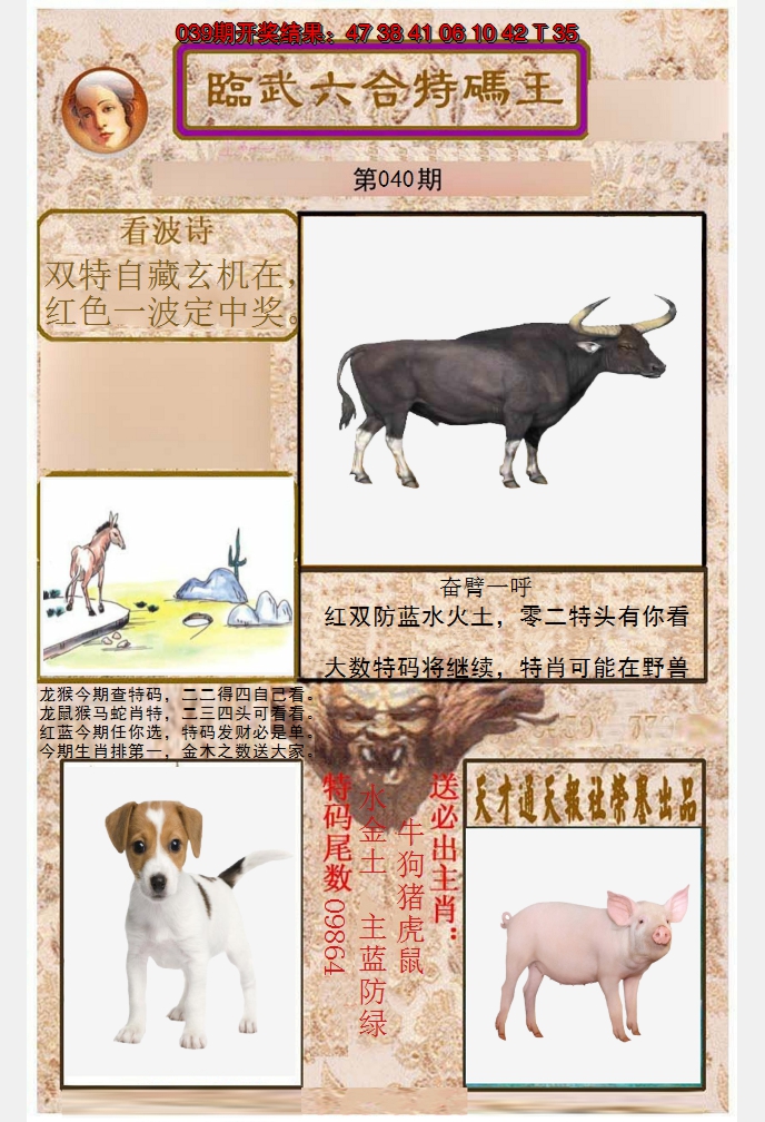 2025040期临武六合特码王