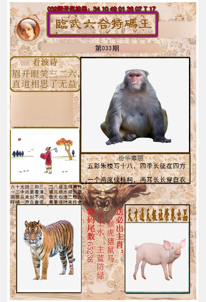 2025033期临武六合特码王