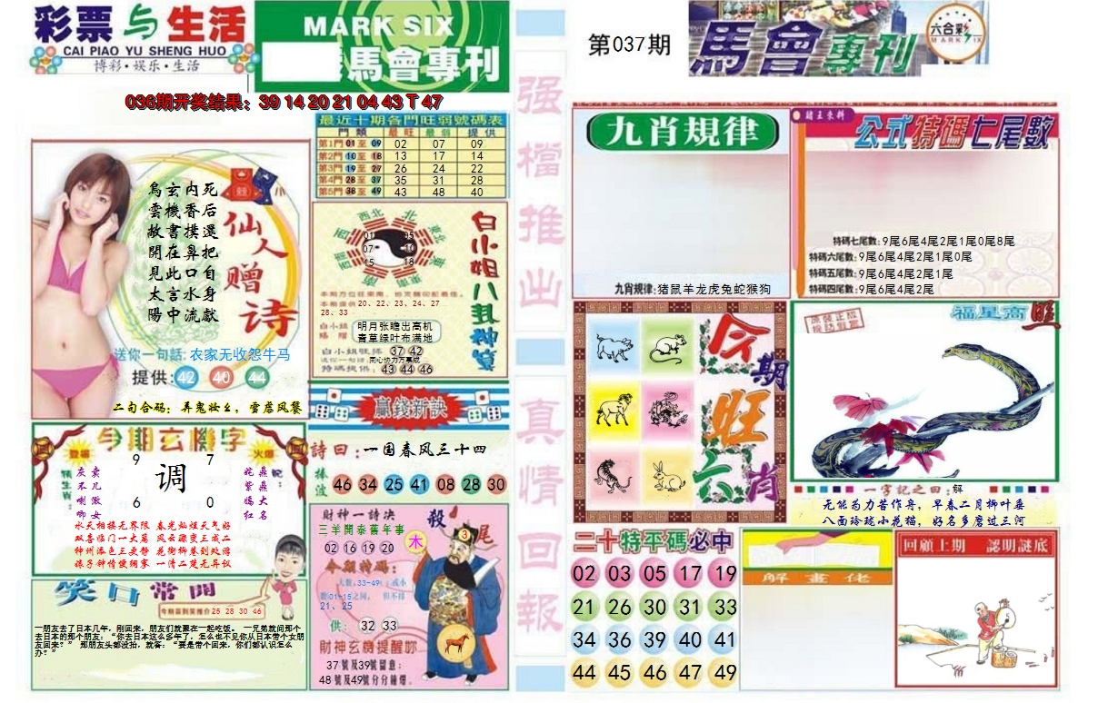 2025037期马会专刊A