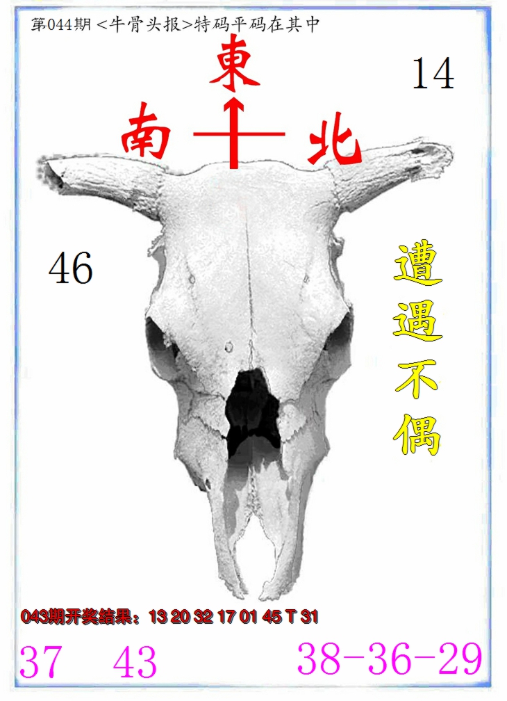 2025044期牛派系列7