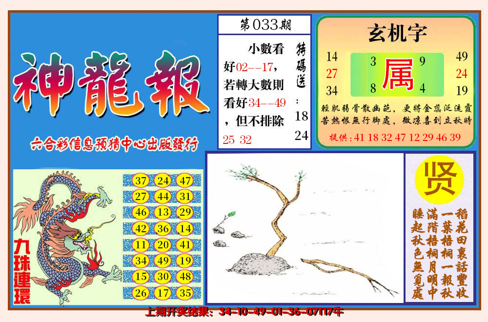 2025033期神龙报