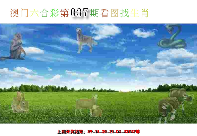 2025037期看图找生肖