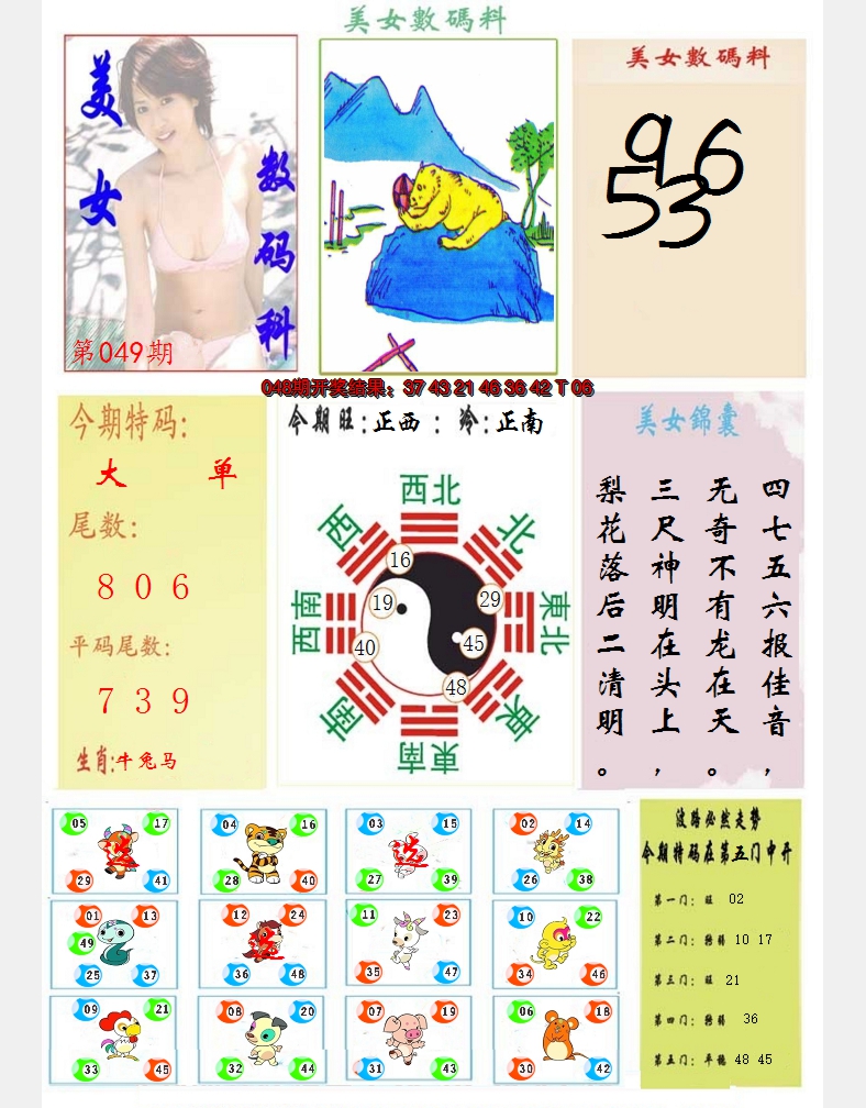 2025049期美女数码料