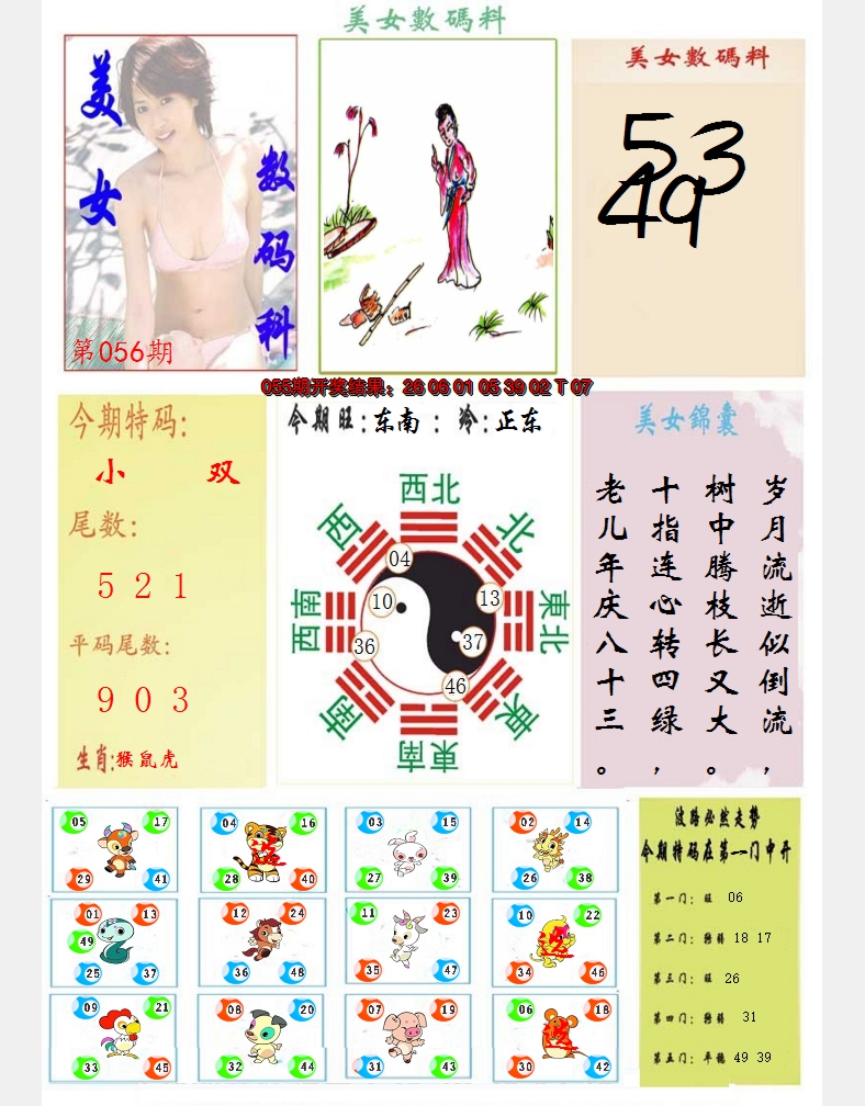 2025056期美女数码料