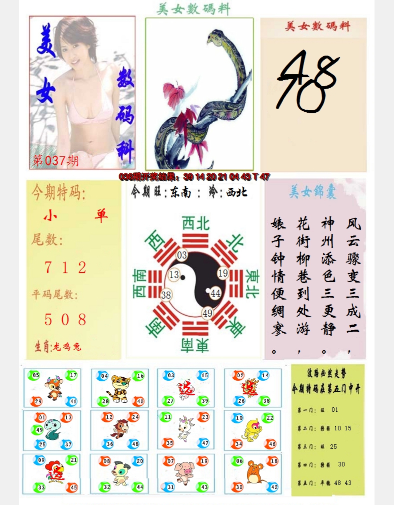 2025037期美女数码料