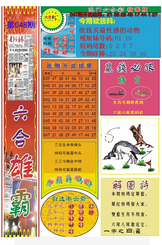 2025048期六合雄霸