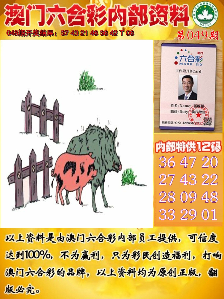 2025049期六合内部资料