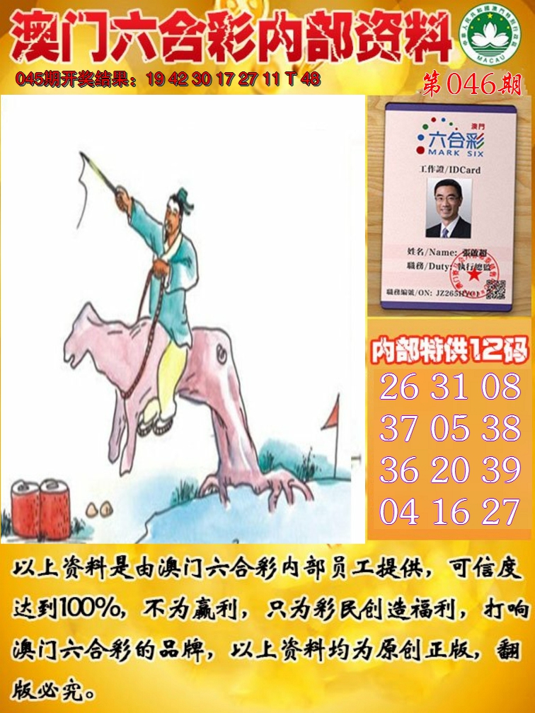 2025046期六合内部资料