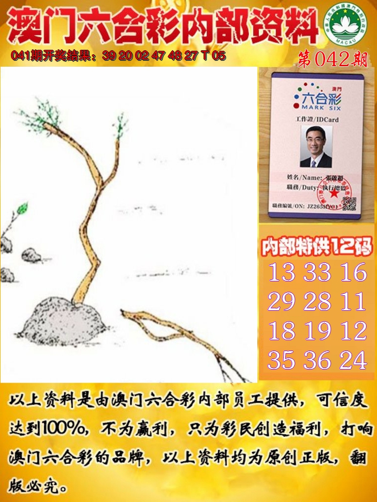 2025042期六合内部资料