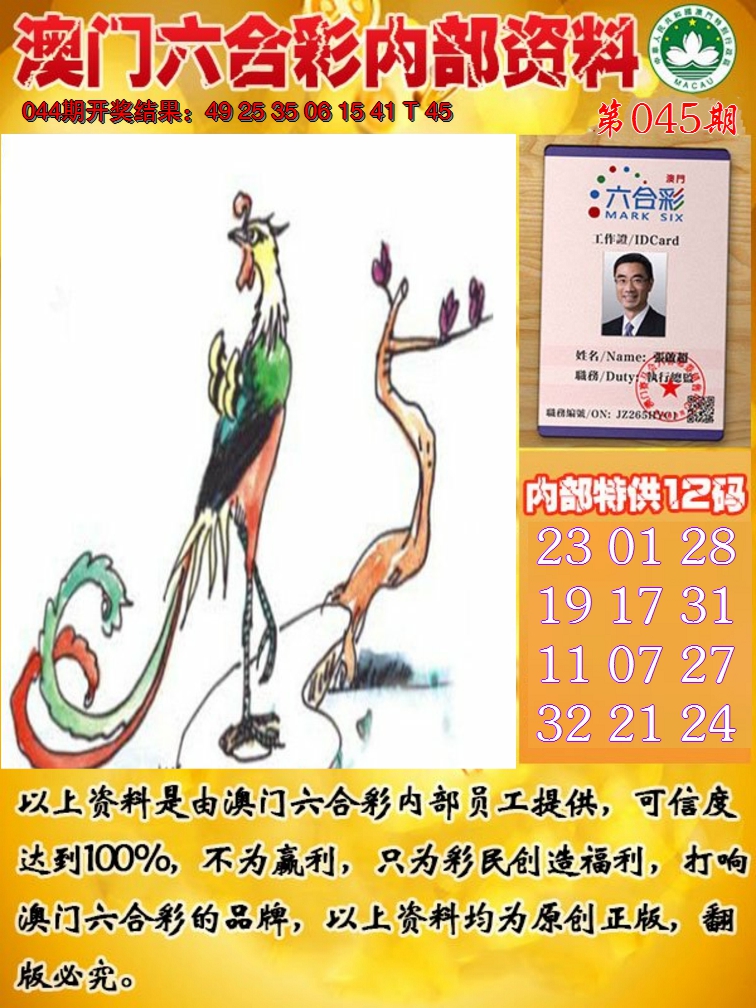 2025045期六合内部资料