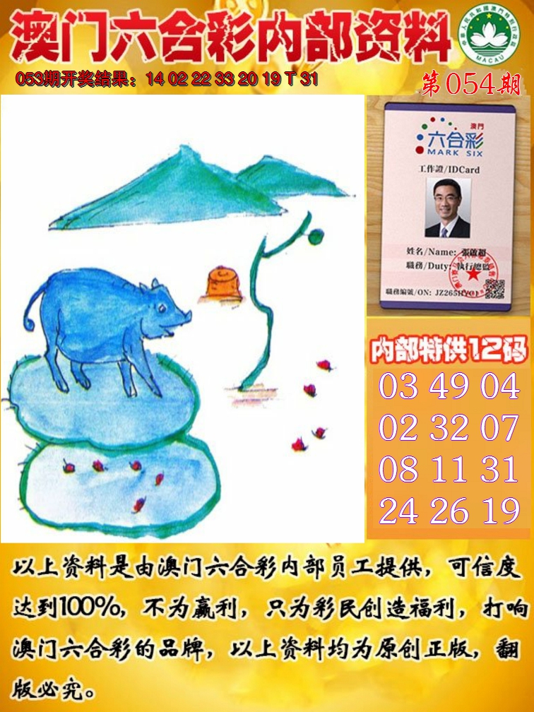 2025054期六合内部资料