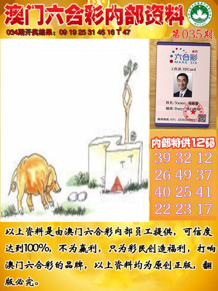 2025035期六合内部资料