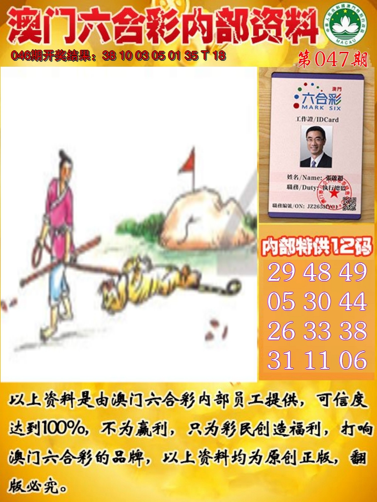 2025047期六合内部资料