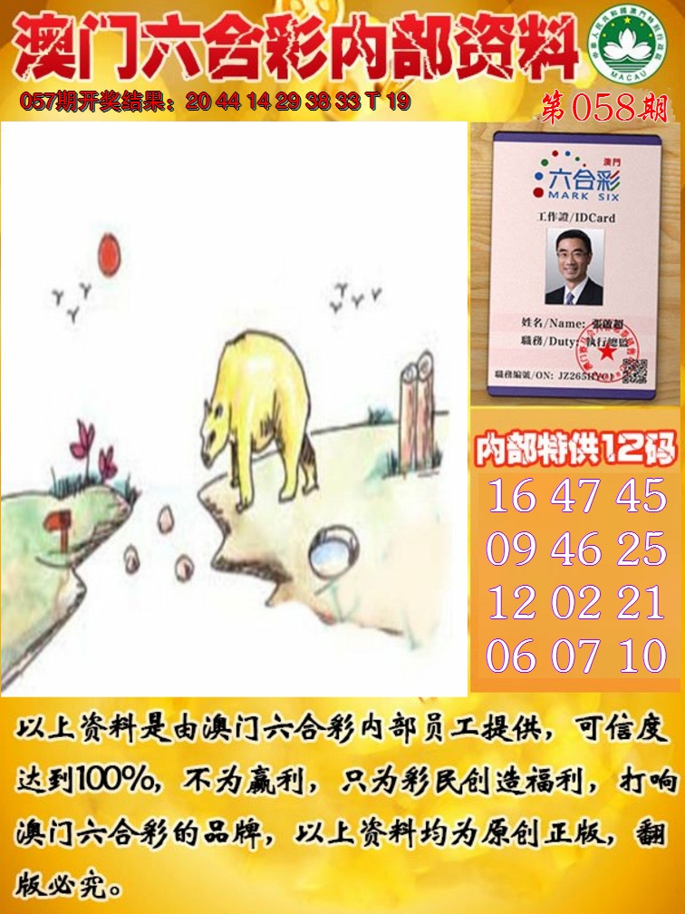 2025058期六合内部资料