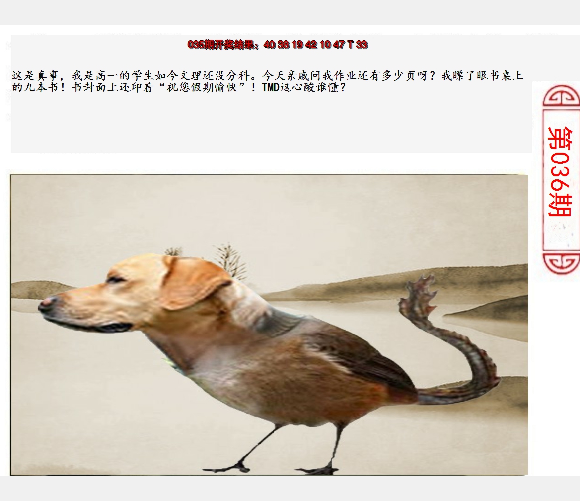 2025036期澳门生活幽默