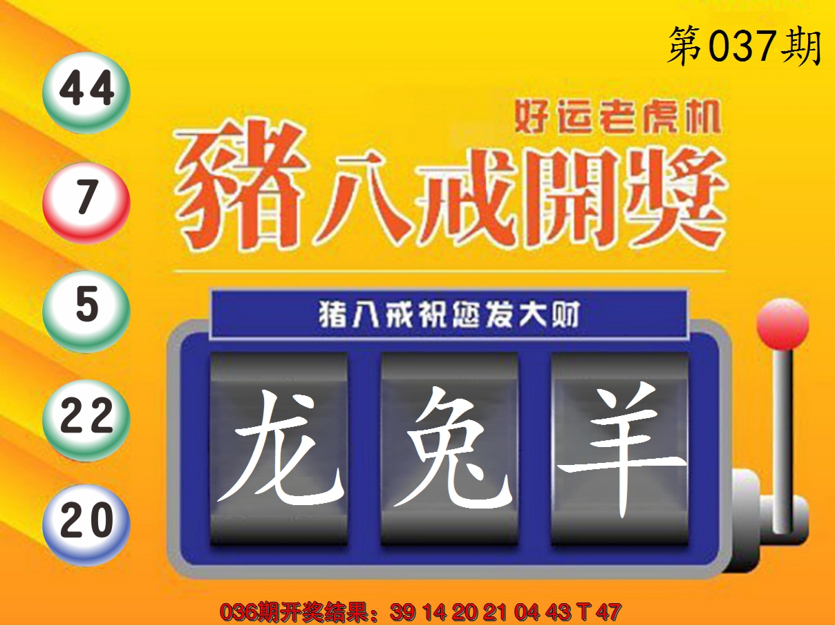 2025037期猪八戒开奖A