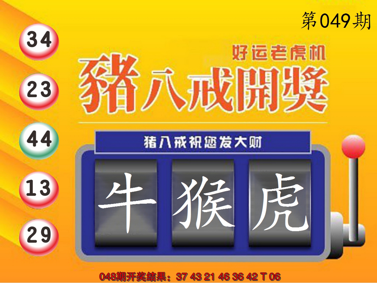 2025049期猪八戒开奖A