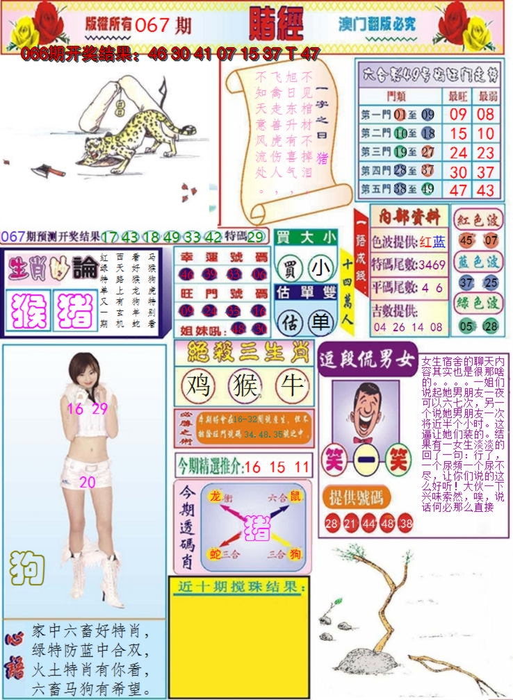 2025067期澳门赌经