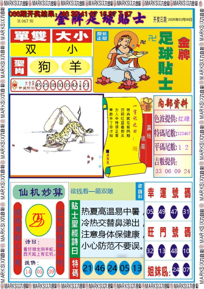 2025067期金牌足球贴士