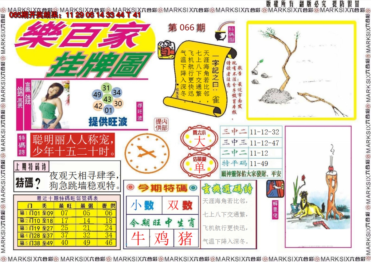 2025066期乐百家挂牌图