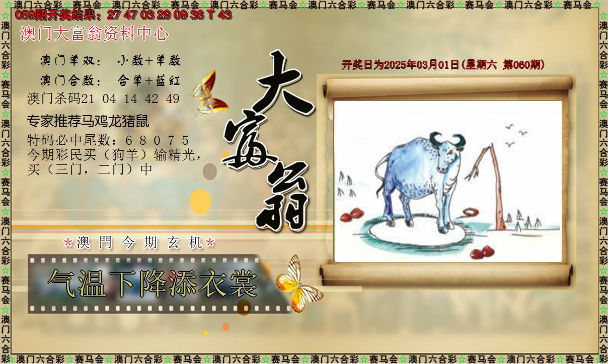 2025060期新大富翁