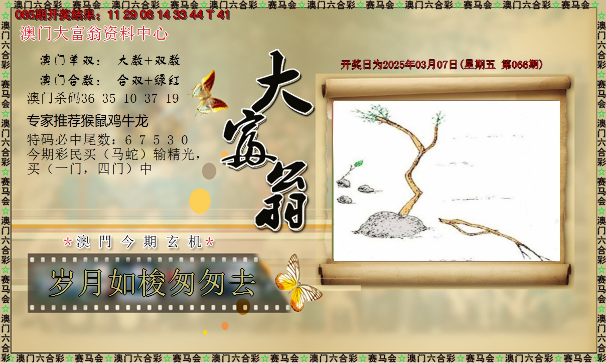2025066期新大富翁