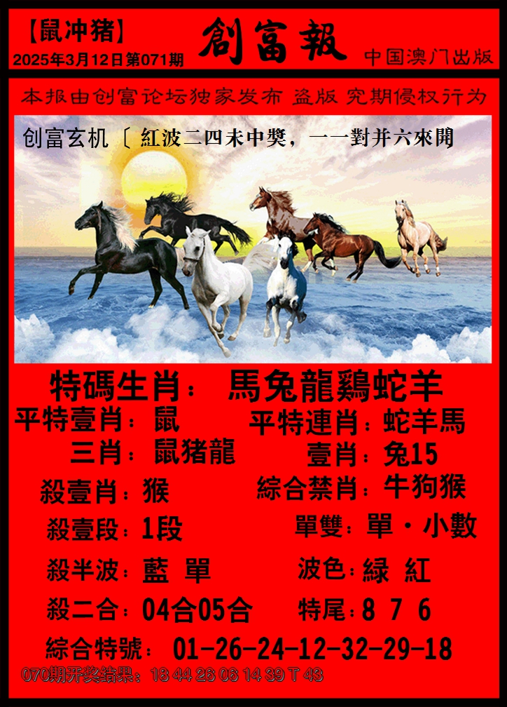 2025071期码王报