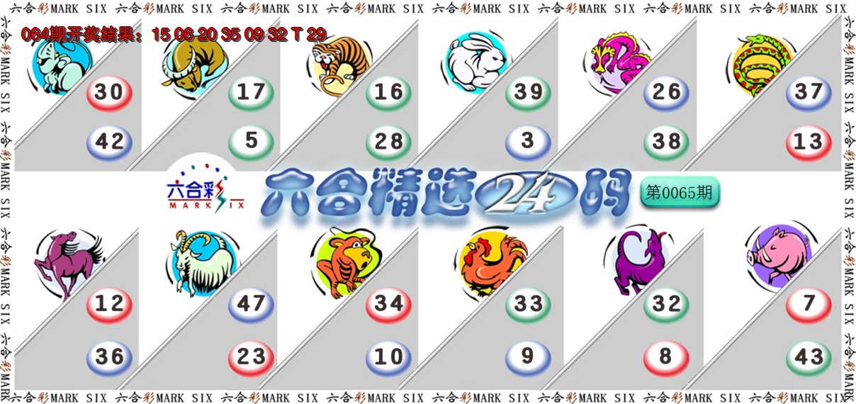 2025065期六合精选24码