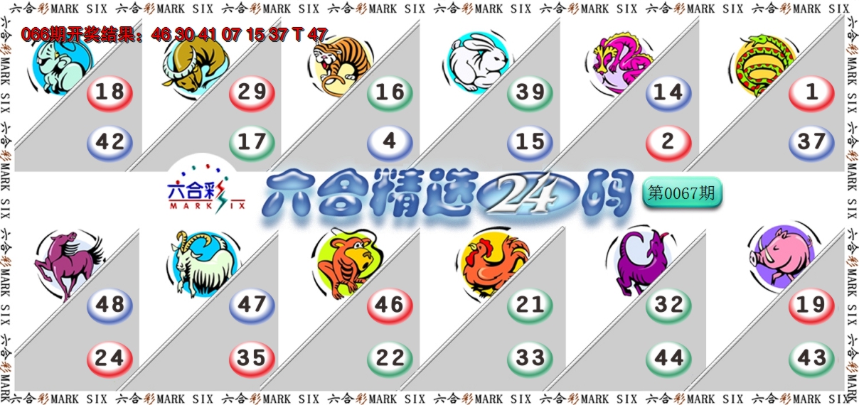 2025067期六合精选24码
