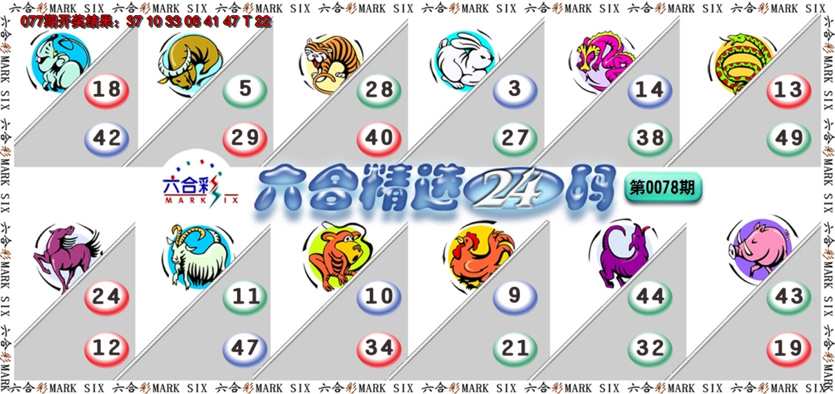 2025078期六合精选24码