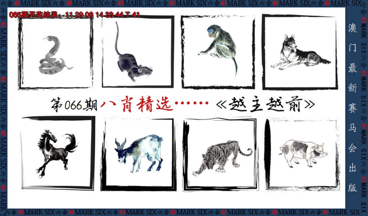 2025066期八肖精选