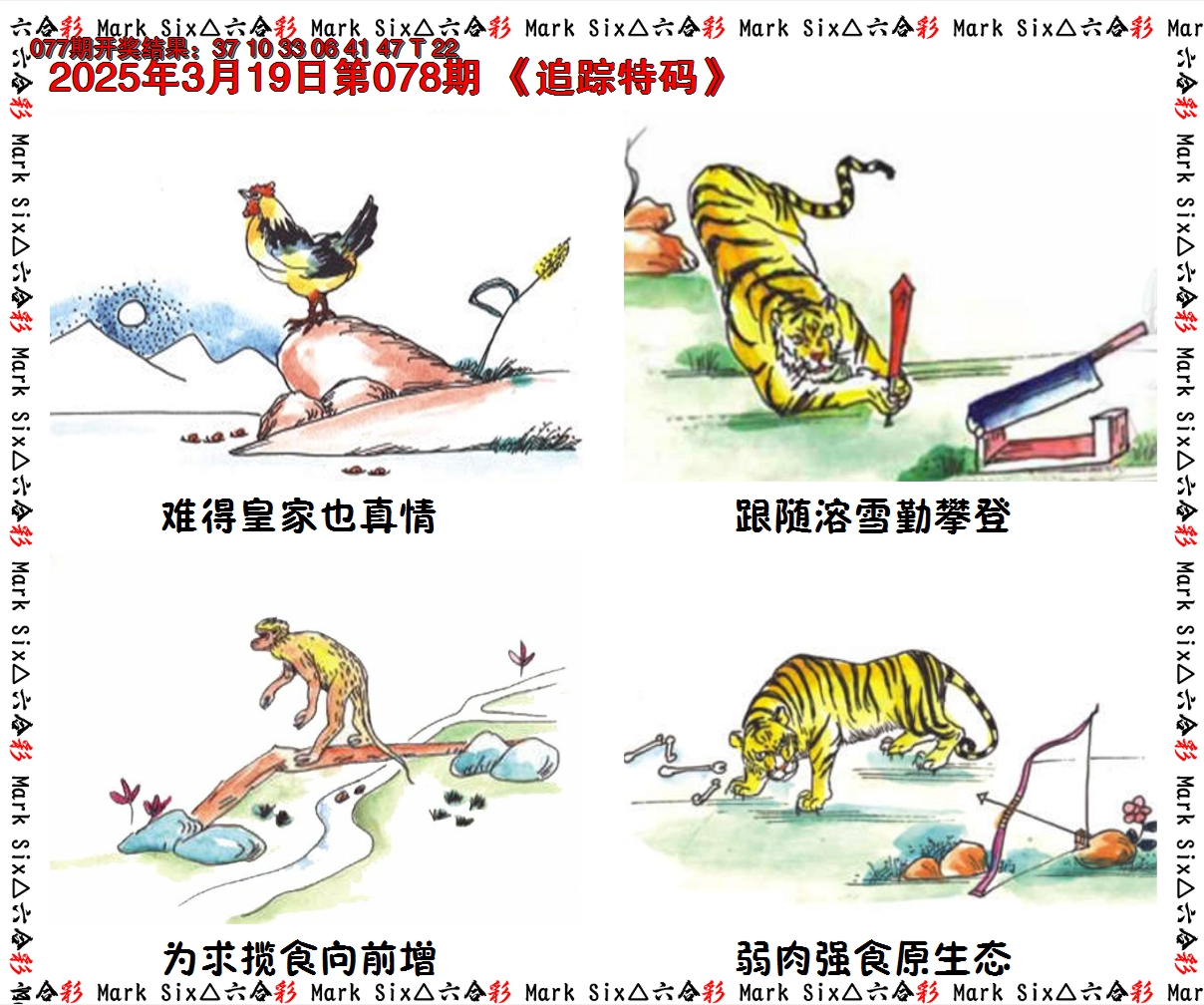 2025078期追踪特码