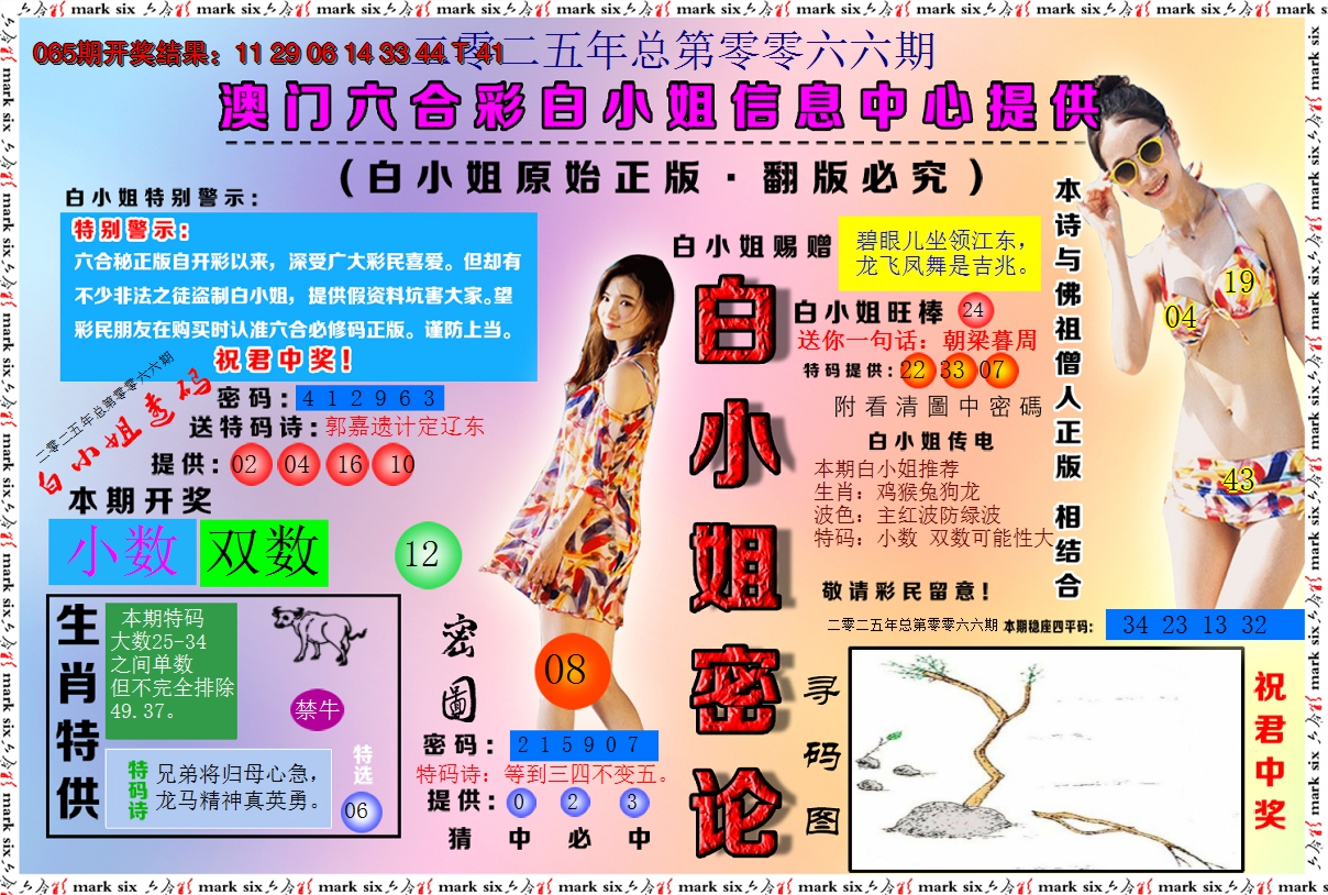 2025066期白小姐密论