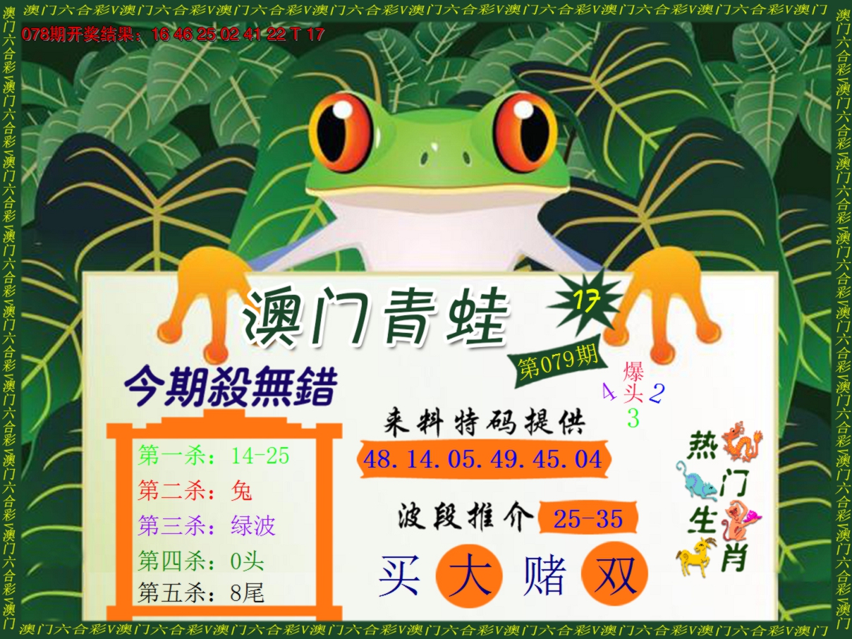 2025079期青蛙系列17