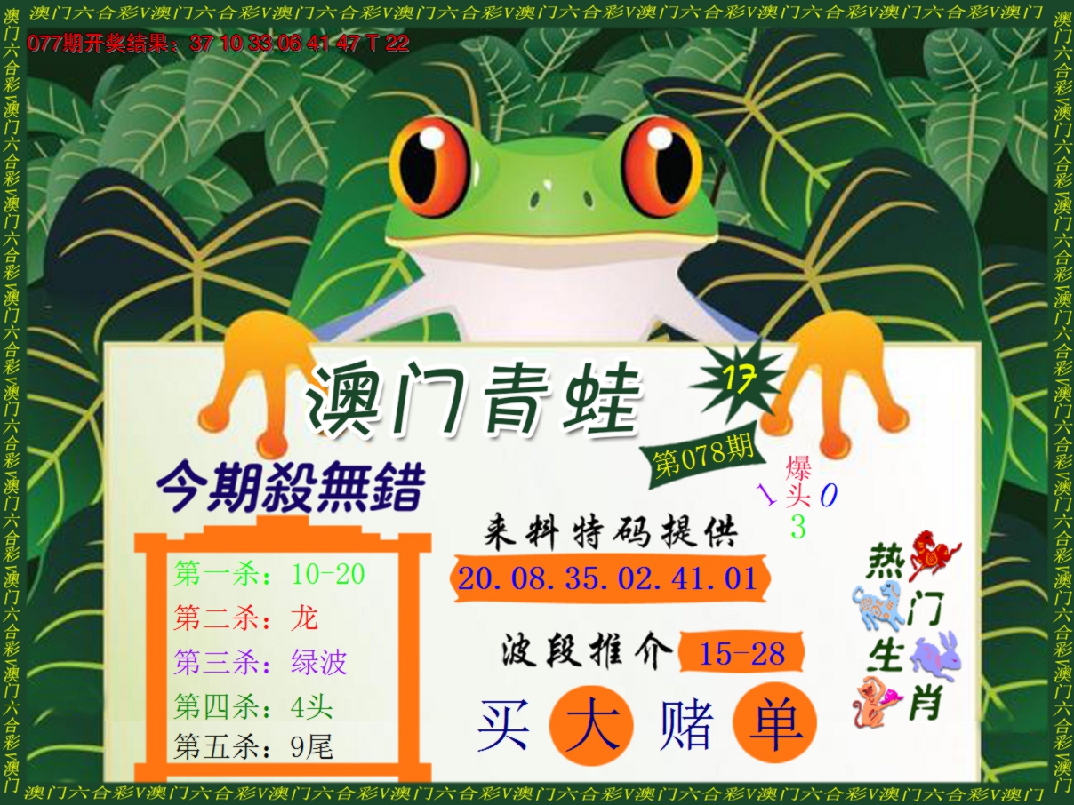 2025078期青蛙系列17