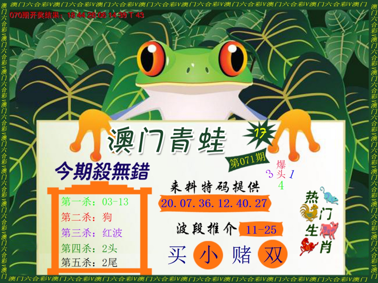 2025071期青蛙系列17