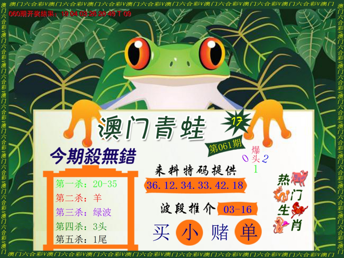 2025061期青蛙系列17