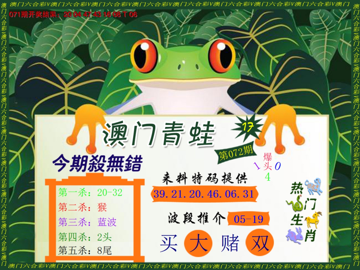 2025072期青蛙系列17