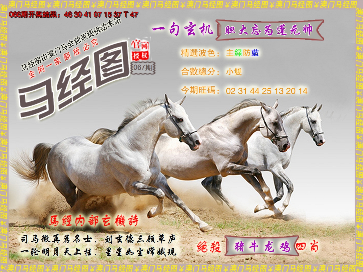 2025067期马经系列6