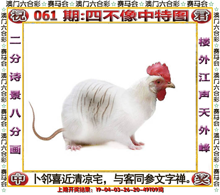 2025061期四不像中特图