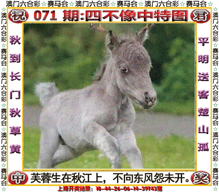 2025071期四不像中特图