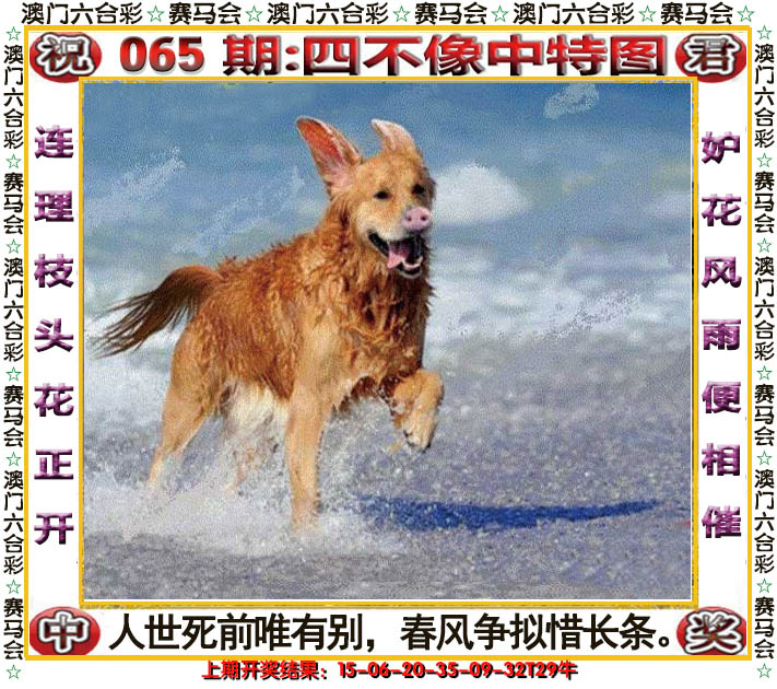2025065期四不像中特图
