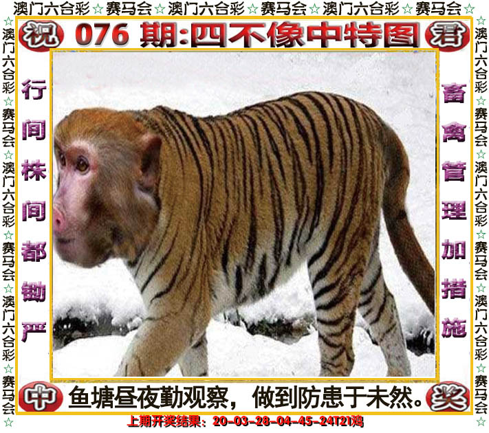 2025076期四不像中特图
