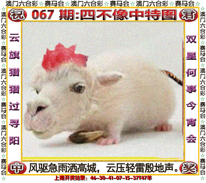 2025067期四不像中特图