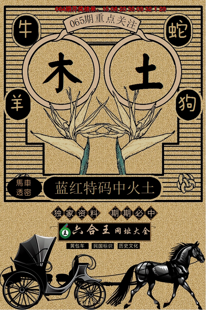 2025065期六合王马车透密