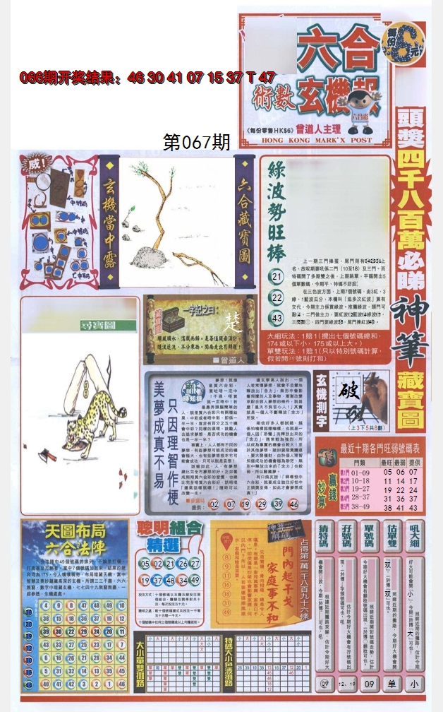 2025067期六合玄机报