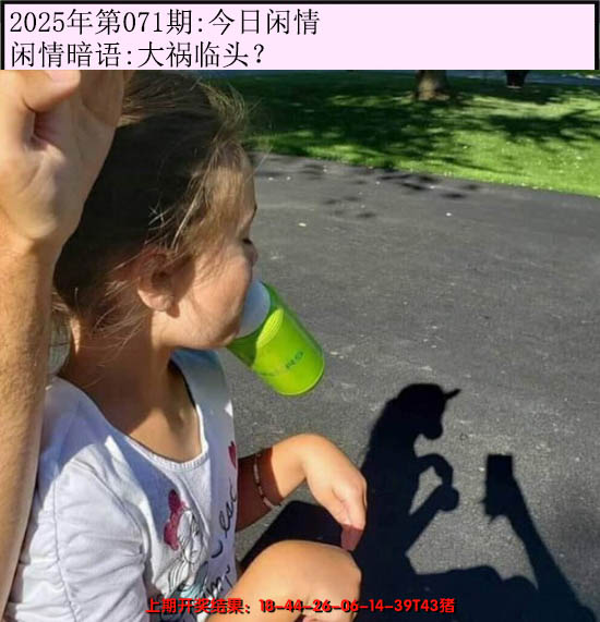 2025071期今日闲情