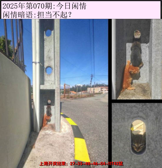2025070期今日闲情