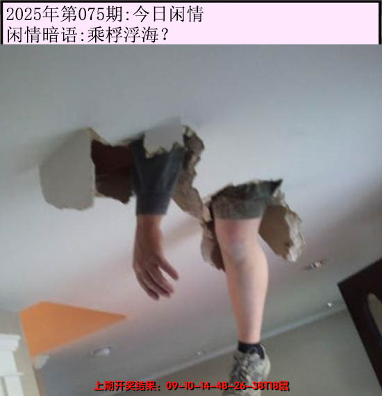 2025075期今日闲情