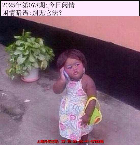 2025078期今日闲情